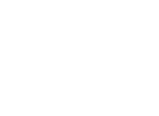 Ford Pro